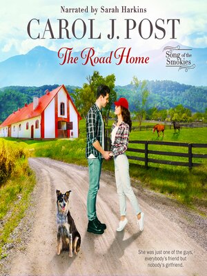 cover image of The Road Home